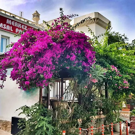 Merkez Kumsal 3*